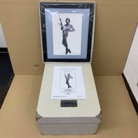 ボークス 造形村 空山基 COMMANDO 完成品 フィギュア 額装付き HAJIME SORAYAMA VOLKS